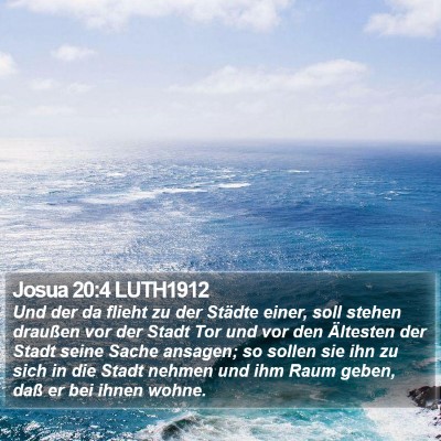 Josua 20:4 LUTH1912 Bible Verse Image