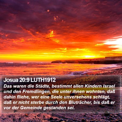 Josua 20:9 LUTH1912 Bible Verse Image