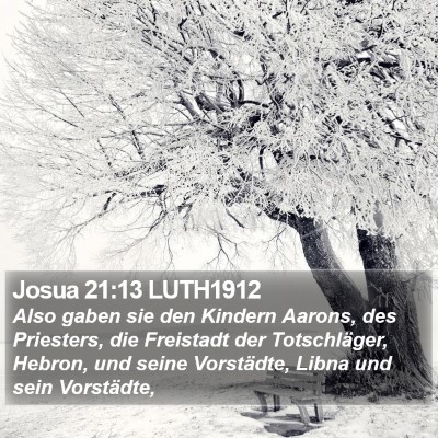 Josua 21:13 LUTH1912 Bible Verse Image