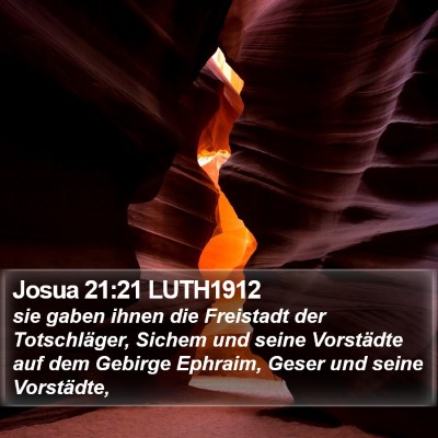 Josua 21:21 LUTH1912 Bible Verse Image