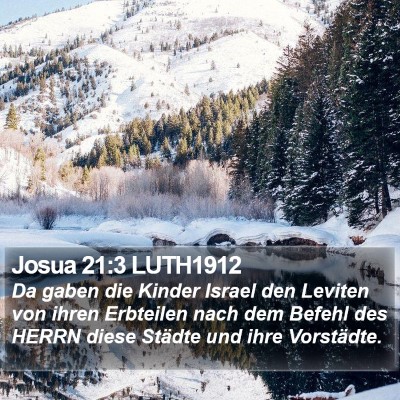 Josua 21:3 LUTH1912 Bible Verse Image