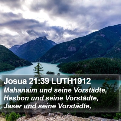 Josua 21:39 LUTH1912 Bible Verse Image