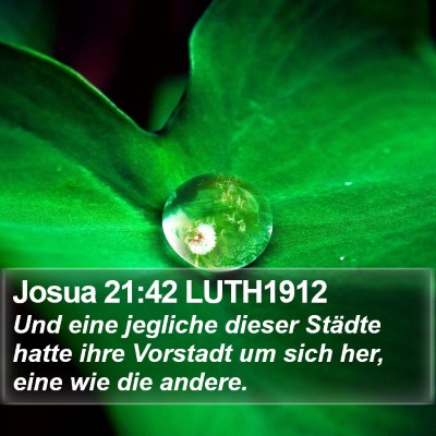 Josua 21:42 LUTH1912 Bible Verse Image