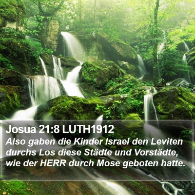 Josua 21:8 LUTH1912 Bible Verse Image