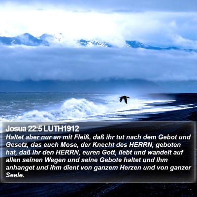Josua 22:5 LUTH1912 Bible Verse Image
