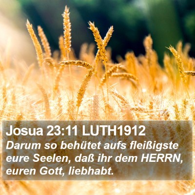 Josua 23:11 LUTH1912 Bible Verse Image
