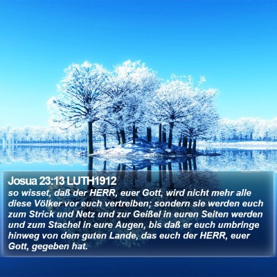 Josua 23:13 LUTH1912 Bible Verse Image