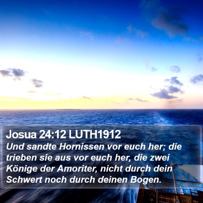 Josua 24:12 LUTH1912 Bible Verse Image
