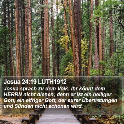 Josua 24:19 LUTH1912 Bible Verse Image