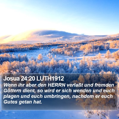 Josua 24:20 LUTH1912 Bible Verse Image