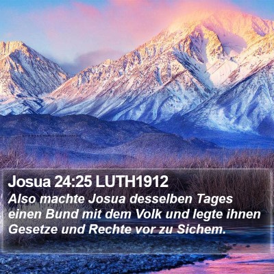 Josua 24:25 LUTH1912 Bible Verse Image