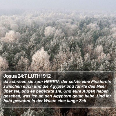 Josua 24:7 LUTH1912 Bible Verse Image