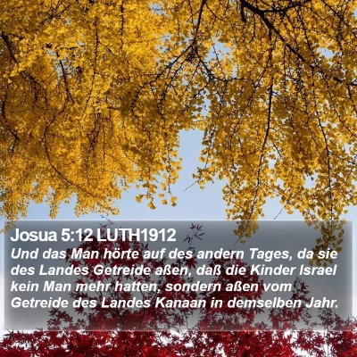 Josua 5:12 LUTH1912 Bible Verse Image