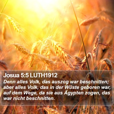 Josua 5:5 LUTH1912 Bible Verse Image