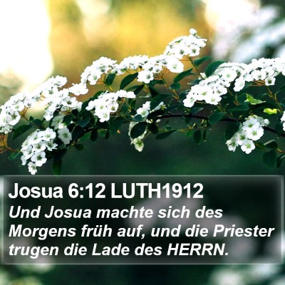 Josua 6:12 LUTH1912 Bible Verse Image