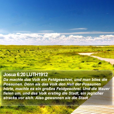 Josua 6:20 LUTH1912 Bible Verse Image