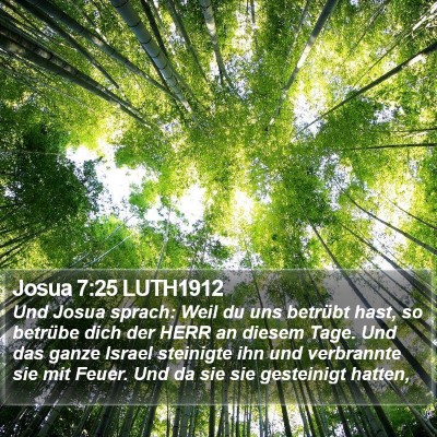 Josua 7:25 LUTH1912 Bible Verse Image