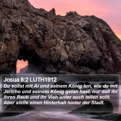 Josua 8:2 LUTH1912 Bible Verse Image