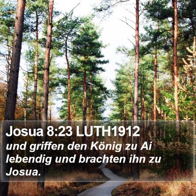 Josua 8:23 LUTH1912 Bible Verse Image