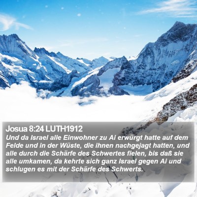 Josua 8:24 LUTH1912 Bible Verse Image