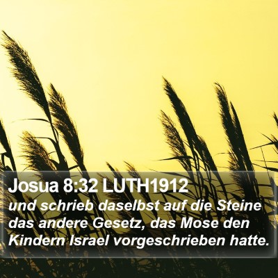 Josua 8:32 LUTH1912 Bible Verse Image