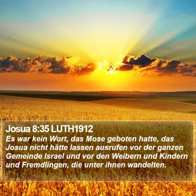Josua 8:35 LUTH1912 Bible Verse Image
