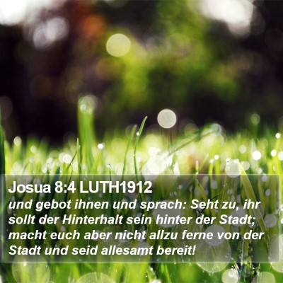Josua 8:4 LUTH1912 Bible Verse Image