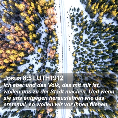 Josua 8:5 LUTH1912 Bible Verse Image