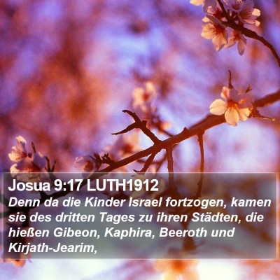 Josua 9:17 LUTH1912 Bible Verse Image