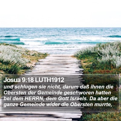 Josua 9:18 LUTH1912 Bible Verse Image