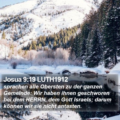 Josua 9:19 LUTH1912 Bible Verse Image