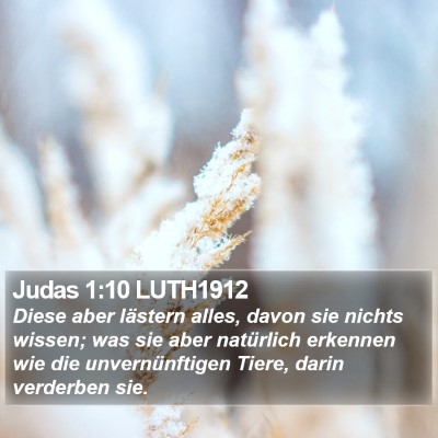 Judas 1:10 LUTH1912 Bible Verse Image