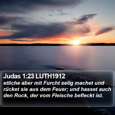 Judas 1:23 LUTH1912 Bible Verse Image