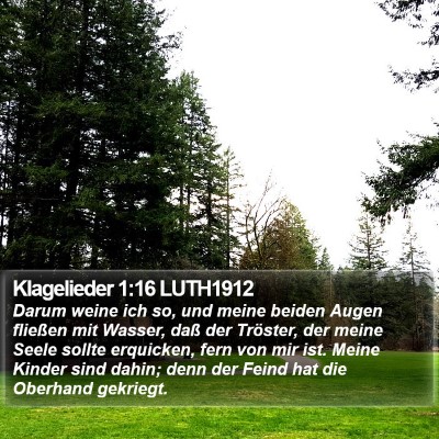 Klagelieder 1:16 LUTH1912 Bible Verse Image