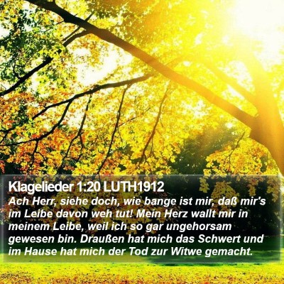 Klagelieder 1:20 LUTH1912 Bible Verse Image