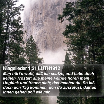 Klagelieder 1:21 LUTH1912 Bible Verse Image