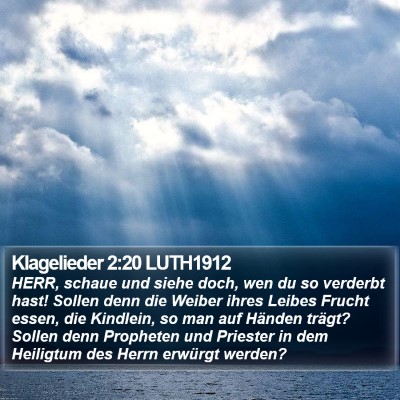 Klagelieder 2:20 LUTH1912 Bible Verse Image