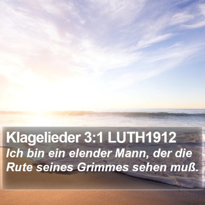 Klagelieder 3:1 LUTH1912 Bible Verse Image