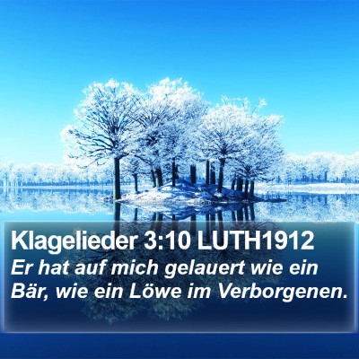 Klagelieder 3:10 LUTH1912 Bible Verse Image