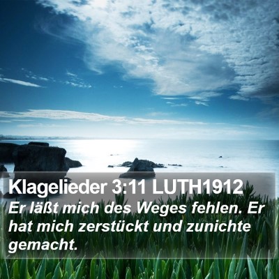 Klagelieder 3:11 LUTH1912 Bible Verse Image