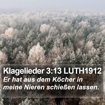 Klagelieder 3:13 LUTH1912 Bible Verse Image