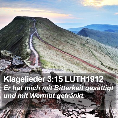 Klagelieder 3:15 LUTH1912 Bible Verse Image
