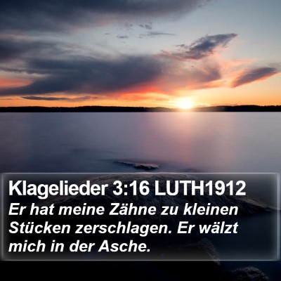 Klagelieder 3:16 LUTH1912 Bible Verse Image