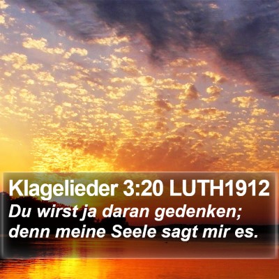 Klagelieder 3:20 LUTH1912 Bible Verse Image