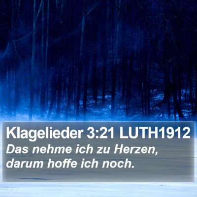 Klagelieder 3:21 LUTH1912 Bible Verse Image