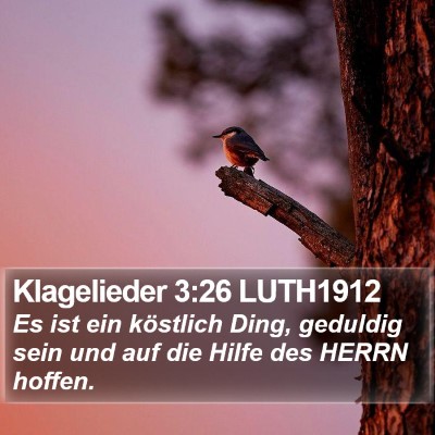 Klagelieder 3:26 LUTH1912 Bible Verse Image