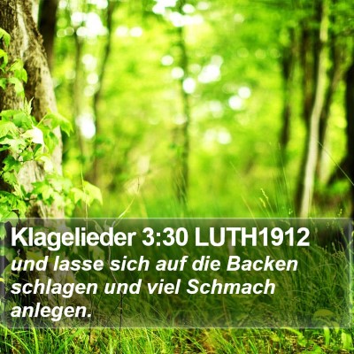 Klagelieder 3:30 LUTH1912 Bible Verse Image