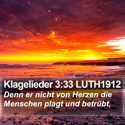Klagelieder 3:33 LUTH1912 Bible Verse Image