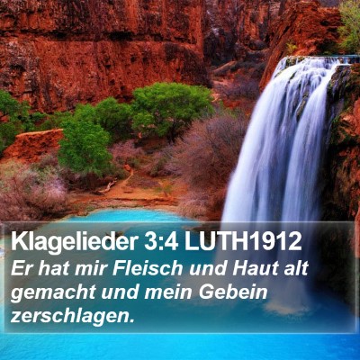 Klagelieder 3:4 LUTH1912 Bible Verse Image
