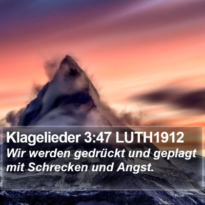Klagelieder 3:47 LUTH1912 Bible Verse Image